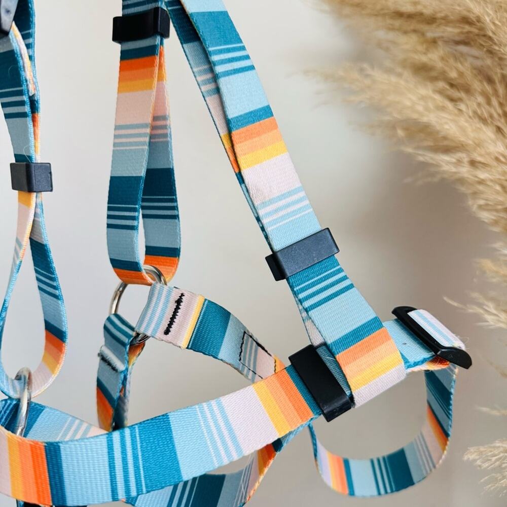 LEEDS Doheny White Blue Stripe Dog Leash Buckle Collar Step Harness $135 Set - Picture 15 of 16